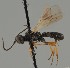  ( - MZH_GQ.1580)  @11 [ ] by-nc (2023) Simo Vaananen Luomus