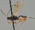  ( - MZH_GQ.1617)  @11 [ ] by-nc (2023) Simo Vaananen Luomus