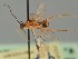  ( - MZH_GQ.1623)  @11 [ ] by-nc (2023) Simo Vaananen Luomus
