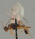 ( - MZH_GQ.1628)  @11 [ ] by-nc (2023) Simo Vaananen Luomus