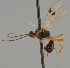  ( - MZH_GQ.1629)  @11 [ ] by-nc (2023) Simo Vaananen Luomus