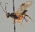  ( - MZH_GQ.1680)  @11 [ ] by-nc (2023) Simo Vaananen Luomus