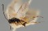  ( - MZH_GQ.1717)  @11 [ ] by-nc (2023) Simo Vaananen Luomus