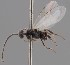  ( - MZH_GQ.1724)  @11 [ ] by-nc (2023) Simo Vaananen Luomus