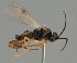  ( - MZH_GQ.1771)  @11 [ ] by-nc (2023) Simo Vaananen Luomus