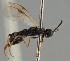  ( - MZH_GQ.1783)  @11 [ ] by-nc (2023) Simo Vaananen Luomus