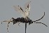  ( - MZH_GQ.1800)  @11 [ ] by-nc (2023) Simo Vaananen Luomus