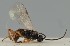  ( - MZH_GQ.1825)  @11 [ ] by-nc (2023) Simo Vaananen Luomus
