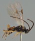  ( - MZH_GQ.1855)  @11 [ ] by-nc (2023) Simo Vaananen Luomus
