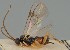  ( - MZH_GQ.1856)  @11 [ ] by-nc (2023) Simo Vaananen Luomus