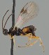  ( - MZH_GQ.1857)  @11 [ ] by-nc (2023) Simo Vaananen Luomus