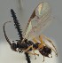  ( - MZH_GQ.1859)  @11 [ ] by-nc (2023) Simo Vaananen Luomus