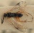  ( - MZH_GQ.1869)  @11 [ ] by-nc (2023) Simo Vaananen Luomus