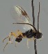  ( - MZH_GQ.1872)  @11 [ ] by-nc (2023) Simo Vaananen Luomus