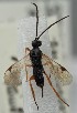  ( - MZH_GQ.1882)  @11 [ ] by-nc (2023) Simo Vaananen Luomus