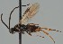  ( - MZH_GQ.1884)  @11 [ ] by-nc (2023) Simo Vaananen Luomus