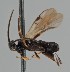  ( - MZH_GQ.1893)  @11 [ ] by-nc (2023) Simo Vaananen Luomus