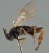  ( - MZH_GQ.1907)  @11 [ ] by-nc (2023) Simo Vaananen Luomus