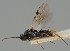  ( - MZH_GQ.1938)  @11 [ ] by-nc (2023) Simo Vaananen Luomus