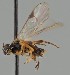  ( - MZH_GQ.1960)  @11 [ ] by-nc (2023) Simo Vaananen Luomus