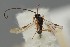  ( - MZH_GQ.2082)  @11 [ ] by-nc (2023) Simo Vaananen Luomus