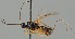  ( - MZH_GQ.2097)  @11 [ ] by-nc (2023) Simo Vaananen Luomus