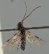  ( - MZH_GQ.2107)  @11 [ ] by-nc (2023) Simo Vaananen Luomus