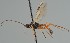  ( - MZH_GQ.2111)  @11 [ ] by-nc (2023) Simo Vaananen Luomus