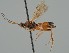  ( - MZH_GQ.2121)  @11 [ ] by-nc (2023) Simo Vaananen Luomus