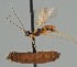  ( - MZH_GQ.2124)  @11 [ ] by-nc (2023) Simo Vaananen Luomus