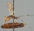  ( - MZH_GQ.2125)  @11 [ ] by-nc (2023) Simo Vaananen Luomus