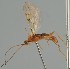  ( - MZH_GQ.2135)  @11 [ ] by-nc (2023) Simo Vaananen Luomus