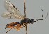  ( - MZH_GQ.2139)  @11 [ ] by-nc (2023) Simo Vaananen Luomus