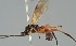  ( - MZH_GQ.2161)  @11 [ ] by-nc (2023) Simo Vaananen Luomus