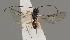  ( - MZH_GQ.317)  @11 [ ] by-nc (2021) Simo Vaananen Luomus