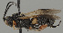  ( - MZH_GQ.396)  @11 [ ] by-nc (2021) Simo Väänänen Luomus