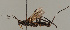  ( - MZH_GQ.765)  @11 [ ] by-nc (2021) Simo Vaananen Luomus
