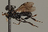  ( - MZH_GQ.805)  @11 [ ] by-nc (2021) Simo Vaananen Luomus
