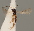  ( - MZH_GQ.917)  @11 [ ] by-nc (2021) Simo Väänänen Luomus