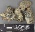  ( - H9232941)  @11 [ ] by-nc (2023) Erkka Laine Luomus