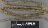  ( - H9235153)  @11 [ ] by-nc (2023) Erkka Laine Luomus