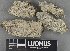  ( - H9235161)  @11 [ ] by-nc (2023) Erkka Laine Luomus