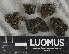  ( - H9235185)  @11 [ ] by-nc (2023) Erkka Laine Luomus
