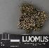  ( - H9237502)  @11 [ ] by-nc (2023) Erkka Laine Luomus