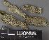  ( - H9237564)  @11 [ ] by-nc (2023) Erkka Laine Luomus