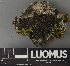  ( - H9237597)  @11 [ ] by-nc (2023) Erkka Laine Luomus