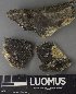  ( - H9237739)  @11 [ ] by-nc (2023) Erkka Laine Luomus