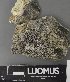  ( - H9237781)  @11 [ ] by-nc (2023) Erkka Laine Luomus