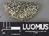  ( - H9237874)  @11 [ ] by-nc (2023) Erkka Laine Luomus