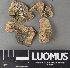  ( - H9238033)  @11 [ ] by-nc (2023) Erkka Laine Luomus